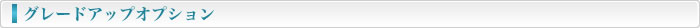 グレードアップオプション