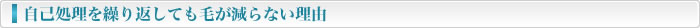 自己処理を繰り返しても毛が減らない理由