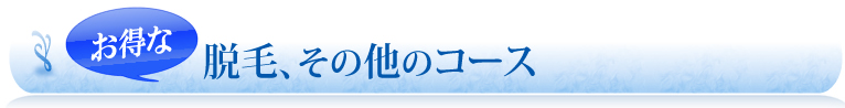 お得な脱毛、その他のコース